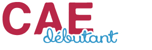 preparation-cae-paris-formation-13 (1)