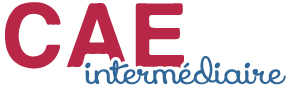 preparation-cae-paris-formation-14_0